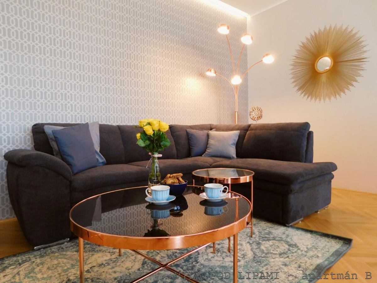 Vila Pod Lipami Apartment บรุนตาล ภายนอก รูปภาพ