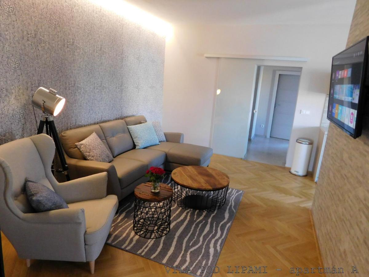 Vila Pod Lipami Apartment บรุนตาล ภายนอก รูปภาพ
