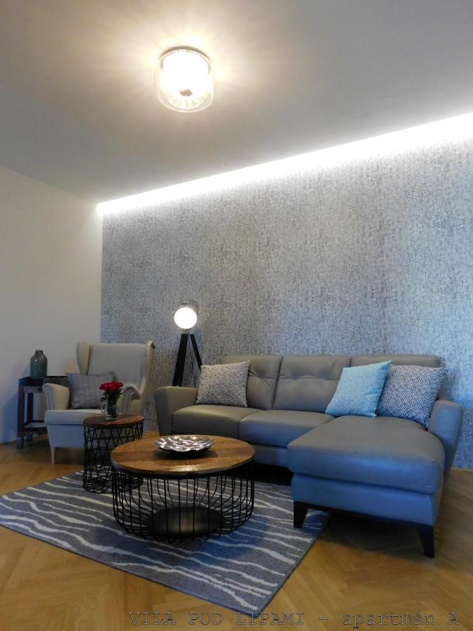Vila Pod Lipami Apartment บรุนตาล ภายนอก รูปภาพ